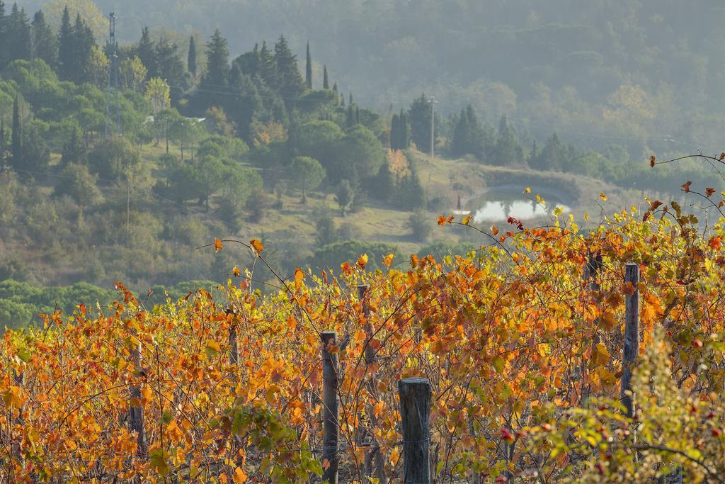 Agriturismo La Presura Страда Экстерьер фото