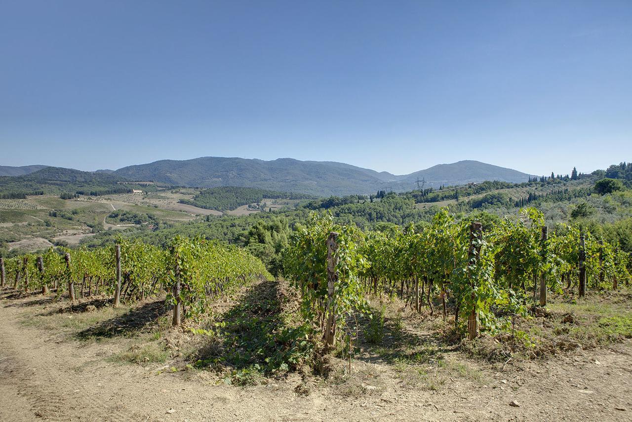 Agriturismo La Presura Страда Экстерьер фото